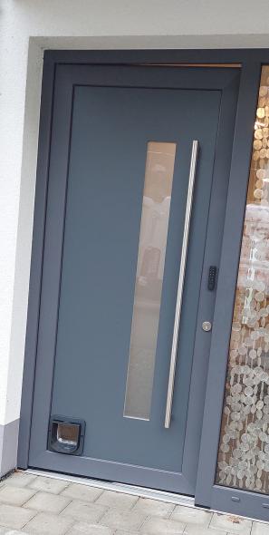 Katzenklappe in der Hauseingangstüre